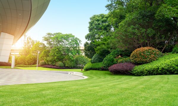 Commercial Lawn Mowing in Vancouver