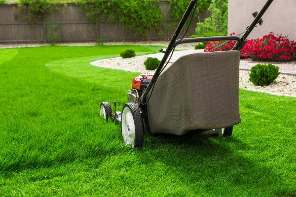 Grass Mowing in Vancouver