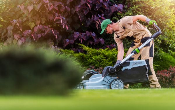 Lawn Care And Maintenance in Vancouver