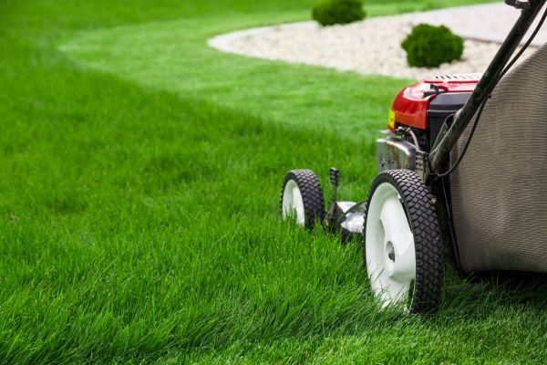 Lawn Maintenance in Vancouver