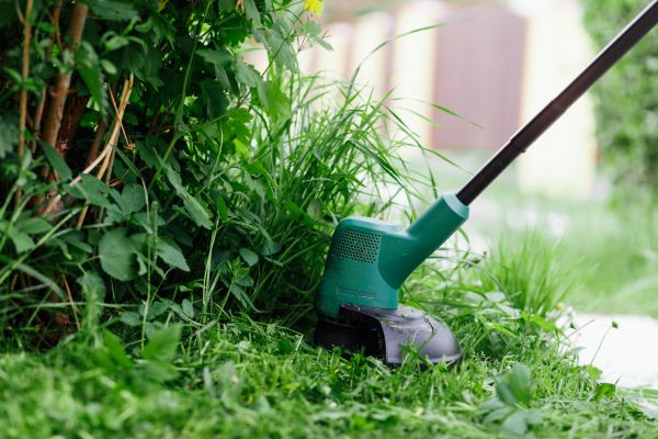 Weed Whacking in Vancouver
