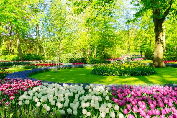 Spring Lawn Care in Vancouver