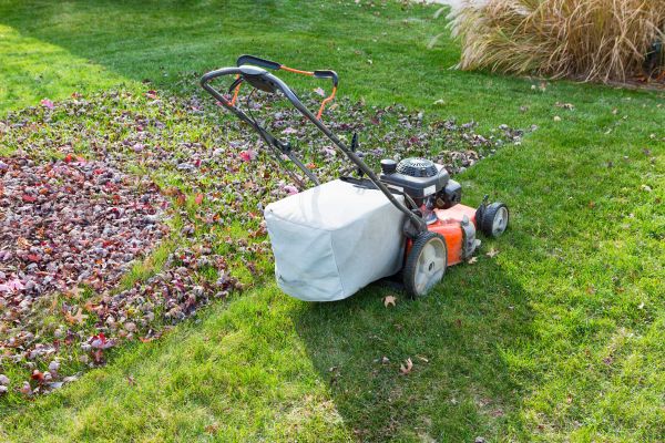 Seasonal Lawn Care in Vancouver