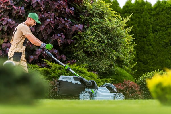 Lawn Management in Vancouver