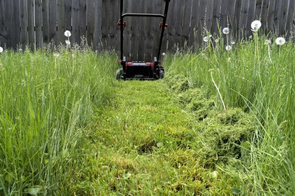 High Grass Mowing in Vancouver