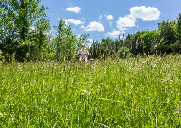Long Grass Mowing in Vancouver