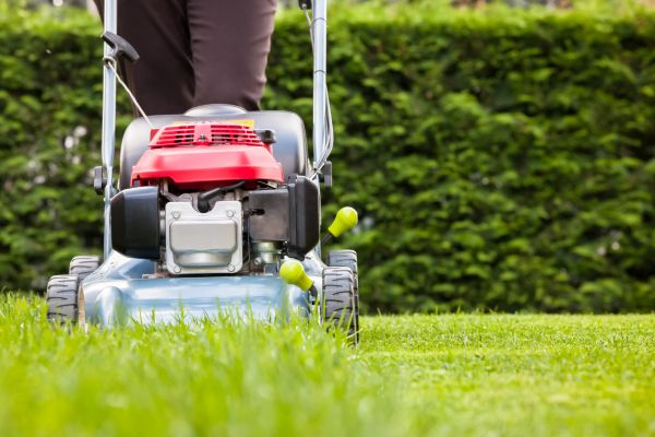 Grass Trimming Service in Vancouver