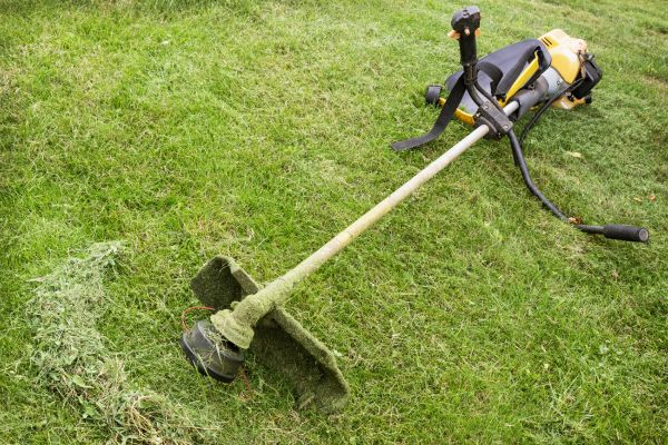 Hillside Weed Whacking in Vancouver