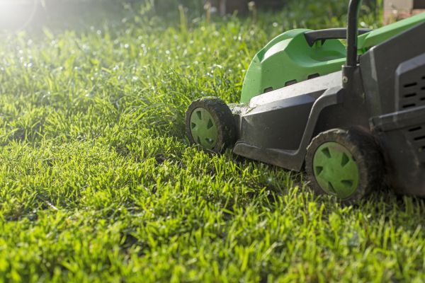 Cost of Lot Mowing in Vancouver