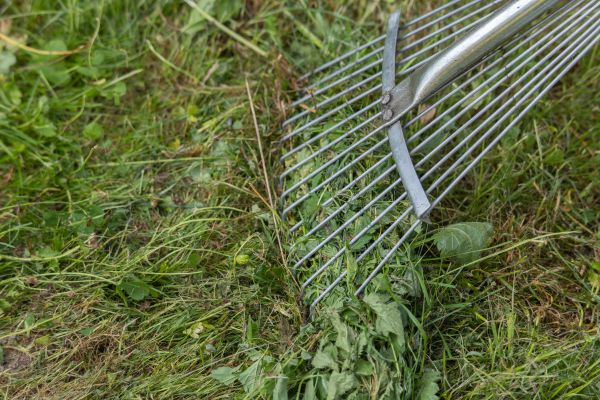 Thatch Raking in Vancouver