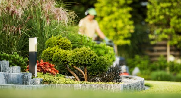 Residential Yard Maintenance in Vancouver