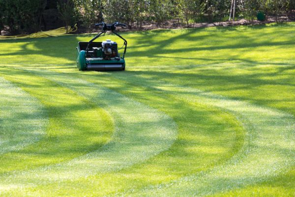 Business Lawn Mowing in Vancouver