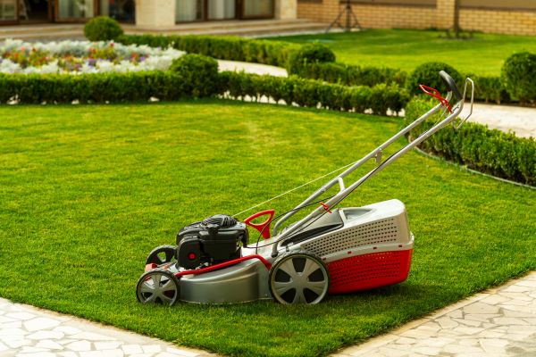 Business Grass Cutting in Vancouver