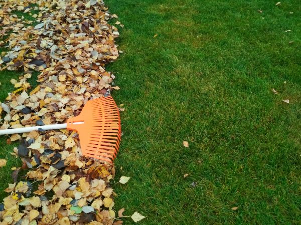 Fall Lawn Care in Vancouver
