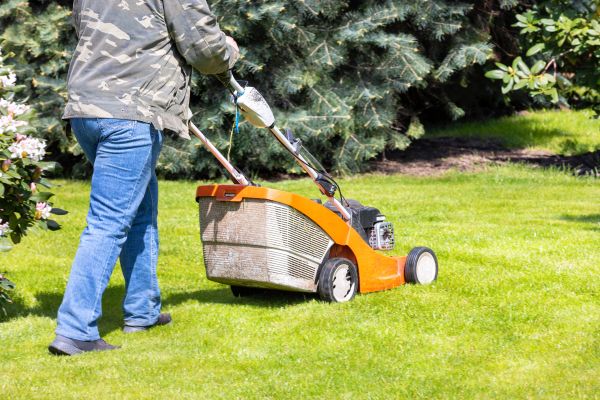 Springtime Lawn Care in Vancouver