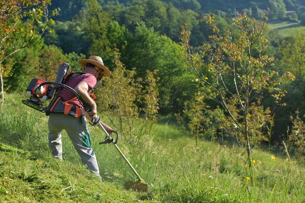 Slope Mowing in Vancouver