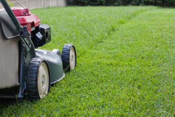 Spring Lawn Maintenance in Vancouver