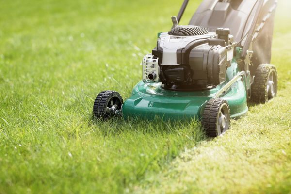 Spring Grass Trimming in Vancouver