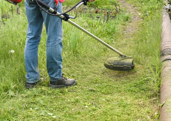 Cost of Tall Grass Trimming in Vancouver