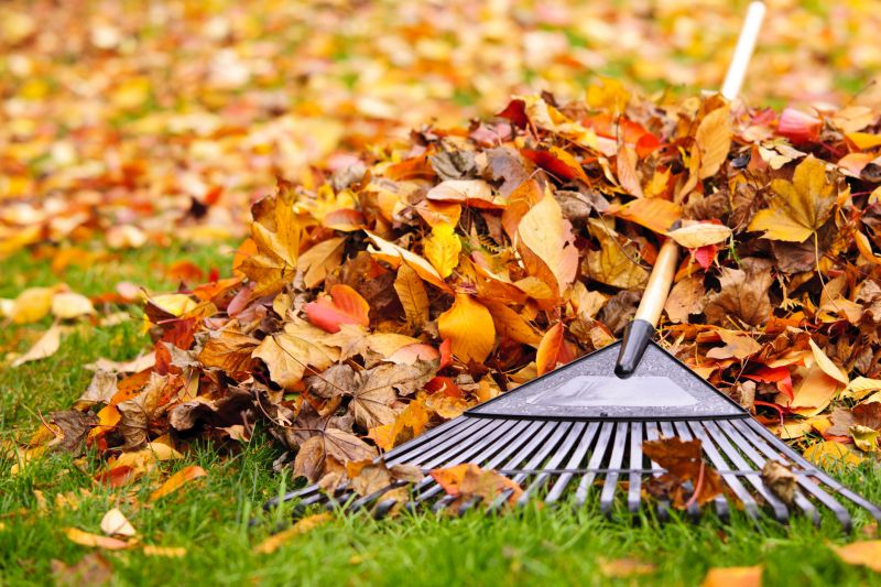 Autumn Leaf Mulching